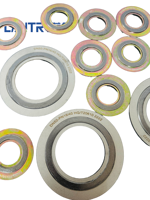 Joint plat en graphite enroulé en spirale de forme annulaire en acier inoxydable haute résistance résistant aux hautes températures, épaisseur 2 mm