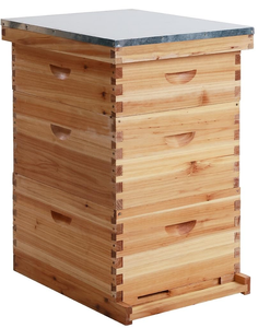 Juego Completo de 10 Marcos para Colmenas de Abejas, Kit de Colmena Langstroth de Madera - Product Image 1