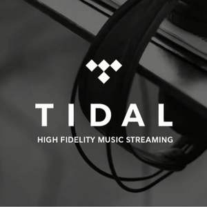 Suscripción Premium a Tidal Music por 12 Meses, Cuentas Tidal, Tidal Hifi Plus 1 Año - Product Image 2