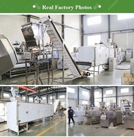 Entièrement automatique 100 200kg petite extrudeuse alimentaire Macroni industrie Spaghetti faire fabricant Machine extrusion pour pâtes