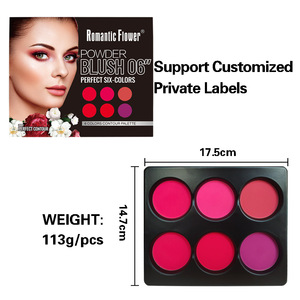 Palette de fards à joues 6 couleurs, finition mate et satinée, pigment longue durée pour tous les tons de peau - Product Image 5