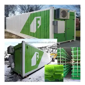 Shipping Container Farm With Hydroponic Fodder System Vertical Farming Growing