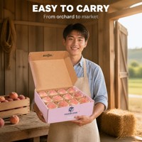 Boîte d'emballage pour fruits en carton ondulé personnalisée avec séparateur et poignée, boîte cadeau en carton recyclable pour pêches, cerises, baies