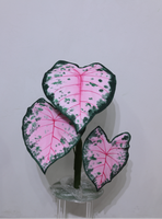 Daun Monstera Anthurium Philodendron Buatan Tahan Air dari EVA yang Dapat Disesuaikan, Bunga Besar untuk Pernikahan, Pajangan Luar Ruangan, dan Mal