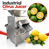 Industriële automatische citruspers van roestvrij staal met dubbele roller voor fruit, sinaasappels en citroenen