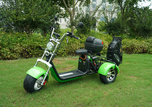 Nuovo Scooter Triciclo Elettrico da Golf di Design Cinese a <span class=keywords><strong>Tre</strong></span> <span class=keywords><strong>Ruote</strong></span> con Sedile e Certificazione CE - Product Image 3
