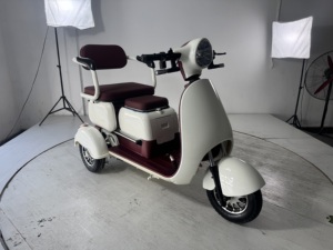 2025 Hot-Selling LOBO <strong>EV</strong> Electric Trike <strong>3</strong> <strong>Wheel</strong> with 800W Motor 7-9h Charge Time Open Body <strong>3</strong>-Passenger 30Km/h for Long Rides - Product Image 4