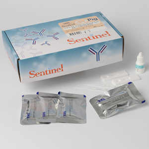 Venta al por mayor Premium Sentinel CSFV E2 Kit de prueba rápida de anticuerpos para cerdo 83.1% 100% sensibilidad y especificidad 30 pruebas/Kit - Product Image 2