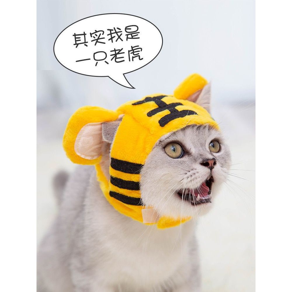 Transform into a tiger
