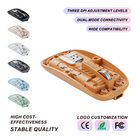 Souris sans fil à coque transparente, sans effet lumineux, avec couvercle magnétique, clic silencieux, 2400 DPI, pour le bureau, vente en gros, fourniture OEM