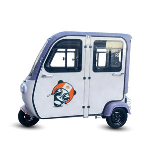 HLD Closed 800W 60v Outdoor Electric <strong>Tricycle</strong> with Roof and Door 3 Seats Closed-type Electric <strong>Tricycle</strong> for <strong>Adult</strong> - Product Image 5