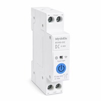 TUYA WiFi Smart Switch DC Remote Control APP Smart Switch Miniature Circuit Breaker Timer Peralatan Rumah Pintar