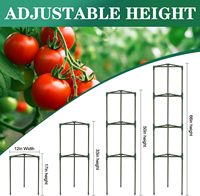 50 pouces de haut réglable tour en acier robuste treillis de concombre plantes grimpantes support de plante de tomate piquets Cages à tomates