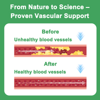 Thé de Garde Vasculaire: Infusion de 10 Herbes Synergiques avec Ginkgo Biloba et Polygonatum pour une Circulation Sanguine Améliorée et une Vitalité Vasculaire chez les Adultes