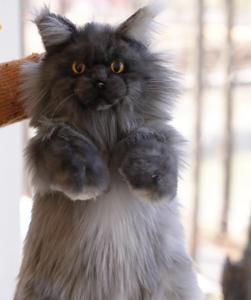 Adorabile zaino in peluche a forma di gatto per bambini e adolescenti, borsa giocattolo morbida e leggera per l'uso quotidiano - Product Image 6