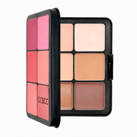 Palette de maquillage pour le visage HD tout-en-un |   6 teintes de fard à joues + 6 teintes de correcteur de contour |   Maquillage professionnel longue tenue, modulable et estompable