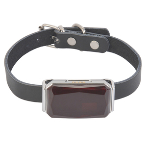 Traceur <span class=keywords><strong>GPS</strong></span> Mini G12P <span class=keywords><strong>pour</strong></span> Animaux de Compagnie, <span class=keywords><strong>Prix</strong></span> <span class=keywords><strong>d</strong></span>'Usine, Vente en Gros, Étanche IP67 avec Application Gratuite et Suivi Web <span class=keywords><strong>pour</strong></span> Chiens et Chats, Service OEM - Product Image 3