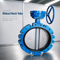 Vanne papillon à joint époxy bleu avec volant à rayons pour applications hydrauliques et haute température DN50-DN600