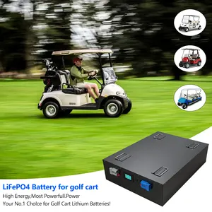 Baterai Lithium 48V 100Ah untuk troli Golf siklus dalam LiFePO4 paket baterai 51.2V troli Golf Lithium besi fosfat adonan