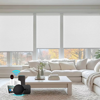 Özel Tuya Akıllı Zigbee WiFi Entegre Otomatik Karartma Perdeleri Sesli Kontrol Alexa Uyumlu UV Korumalı Stor Perdeler
