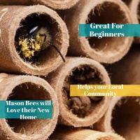 Paket Isi Ulang Tabung Sarang Kardus Mason Bee House