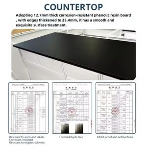 Banc de <span class=keywords><strong>laboratoire</strong></span> personnalisé, table de <span class=keywords><strong>laboratoire</strong></span> scientifique pour usage universitaire - Product Image 4