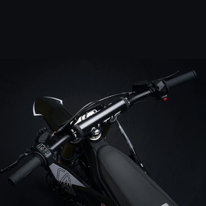 Motocicleta Eléctrica Todoterreno Altis Delta, Motor de 13 kW, Batería de 72 V, 62 MPH, Motocross, Alto Torque de 385 Nm - Product Image 4