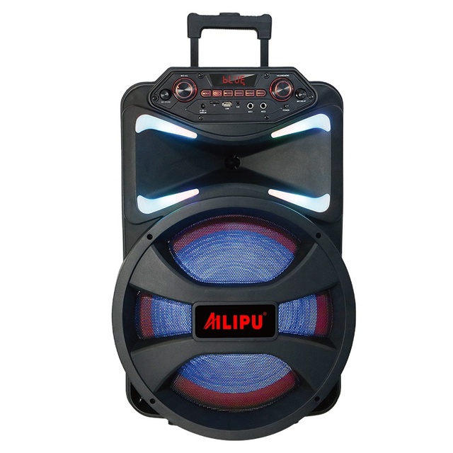 12-Inch Portable Outdoor Party DJ Karaoke Trolley Speakers with Super Bass for Indoor & Outdoor Use