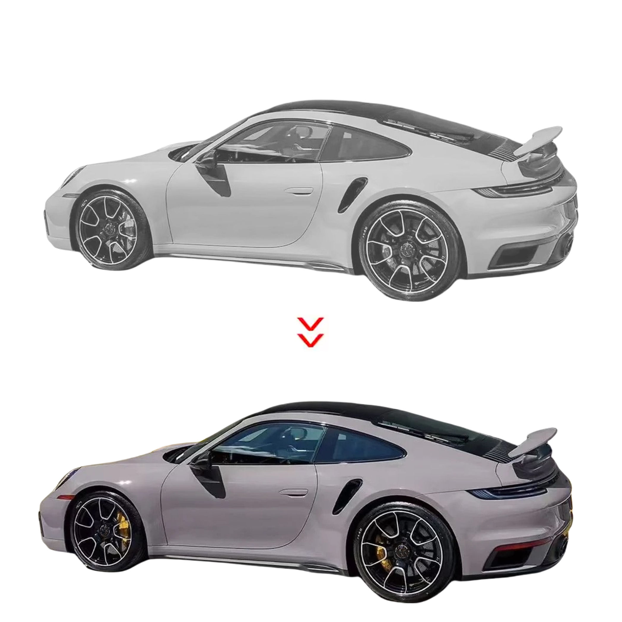 สัตว์เลี้ยงนกพิราบสีเทา