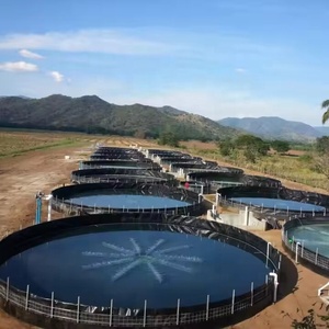 Géomembranes industrielles en PEHD pour l'aquaculture, épaisseurs 0,5-2,5 mm, pour l'élevage de crevettes, revêtement de bassin à poissons, lacs artificiels en PVC et LDPE - Product Image 3