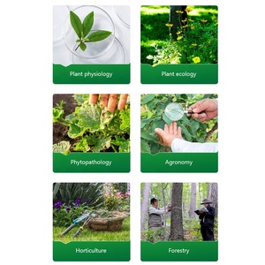 YMJ strumento <span class=keywords><strong>fotografico</strong></span> per la misurazione dell'area fogliare Non distruttivo analizzatore grafico per analizzatore grafico per foto stile foglia Tester - Product Image 5