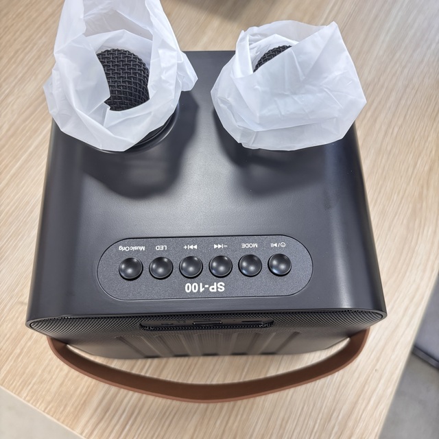 Mini Dual-Mic Integrated Karaoke Audio Speaker with Vocal Cancellation, 2-in-1 Audio for Outdoor & Home