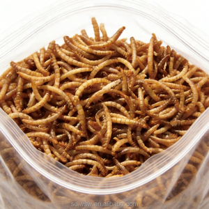 Vers de farine séchés, additif alimentaire riche en protéines, aliment pour bétail, nourriture pour oiseaux, appât pour poissons, nourriture pour animaux de compagnie, alimentation aquatique - Product Image 4