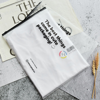 Logo personnalisé en plastique eva transparent zip emballage poly slider zip lock givré transparent ziplock sac pour t-shirt