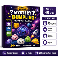 Calendrier de l'Avent Southpeak Toy Mystery Dumpling Édition Spatiale 25 Boîtes Mystères Jouets Squishy Fidget Orb Ball 18x12cm MOQ40 OEM WS