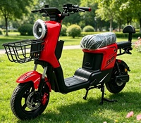 Nouveau modèle 2026 Vélo électrique adulte 60V/72V 1000W avec moteur sans balais, cadre en acier, batterie au plomb 20AH, autonomie 50-80km, idéal pour la ville