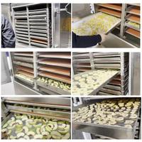 Industriële vriesdroogmachine CE Commercial 100kg 10m2 vacuümvriesdroger voor gevriesdroogd fruit en groenten