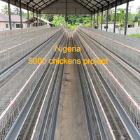 Cages à poules pondeuses en batterie automatique pour 6000 oiseaux, type Nigeria, 128 poules pondeuses, équipement de ferme avicole galvanisé à chaud
