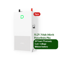 Batterie Lifepo4 IP65 16 kWh, basse tension 51,2 V 314 Ah, batterie lithium Dyness Powerbrick Plus pour onduleur hybride et système solaire