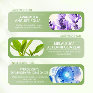 Champú OEM de Lavanda y Árbol de Té Anticaída <span class=keywords><strong>con</strong></span> Óxido de Pirrolidinil Diaminopirimidina, Nutritivo y Fortalecedor para el Cuero Cabelludo, Marca Privada - Product Image 6