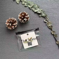 Sacs en plastique à fermeture éclair givrés recyclables imprimés sur mesure avec logo sérigraphié, 100 pièces pour bijoux et montres, vente en gros