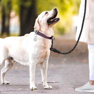 <span class=keywords><strong>Collar</strong></span> de Cuero NIBAO para Perros Grandes, Elegantes Collares de Perro Trenzados y Acolchados con Doble Anilla en D - Product Image 6