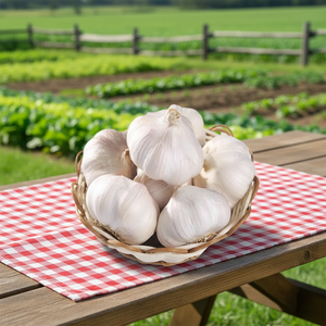 Ajo <span class=keywords><strong>Picante</strong></span> de Alta Calidad para Cocinar al por Mayor - Product Image 1