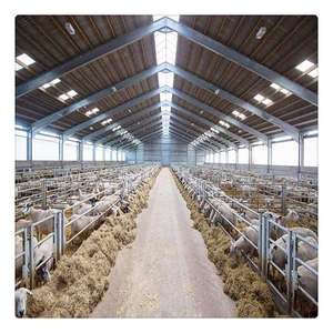 Goedkope Moderne Prefab Stalen Structuur Schapen Geitenboerderij Schuur Melkkoeienstal Veehouderij Gebouw - Product Image 6