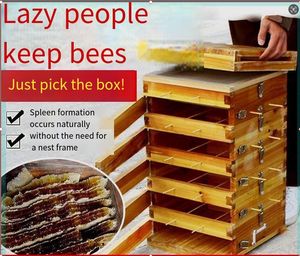 <span class=keywords><strong>Kit</strong></span> de démarrage automatique de ruche d'abeille <span class=keywords><strong>en</strong></span> <span class=keywords><strong>bois</strong></span> avec 7 cadres pour la ferme et l'apiculture Neuf et d'occasion - Product Image 4