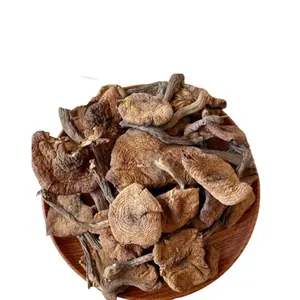 Origin Direct supply Wild honey Mushroom Northeast Wild honey Mushroom Dried Armillaria mellea Mushroom Stew with Chicken