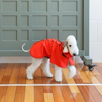 Vêtement de pluie imperméable pour chien, poncho léger en PU avec capuche, réfléchissant et sûr, pour chiot, idéal pour l'extérieur, vente en gros
