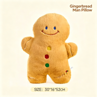 Oreiller Bonhomme en pain d'épices 2026 Nouveau cadeau d'anniversaire Peluche Jouet en peluche pour filles Oreiller à câliner