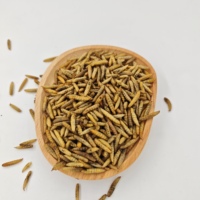 Insectes Séchés Aliment Premium pour Volailles Larves de Mouches Soldat Noires Séchées Aliment Sec de Haute Qualité pour Poulets Canards Tortues Geckos