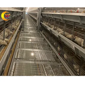 Hen Poultry Farming Equipment H Type Battery Chicken Pullet Cages For Layer To Ghana